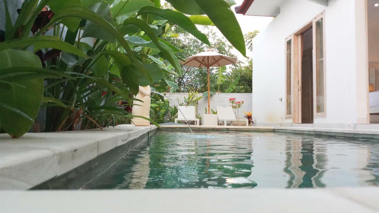 Villa Ummangur 2 Bedroom Private Villa Near Lovina Banjar  Εξωτερικό φωτογραφία